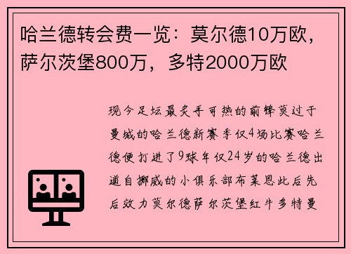 哈兰德转会费一览：莫尔德10万欧，萨尔茨堡800万，多特2000万欧